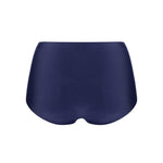 Secretshighwaistbrief30176_5304dustysand_2