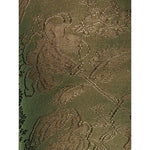 Wolford Dames Panty Jungle Tights 14763 - Jambelles